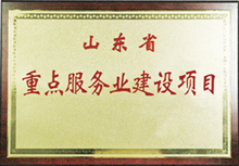 山東省重點服務(wù)業(yè)建設(shè)項目