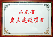 山東省重點建設(shè)項目